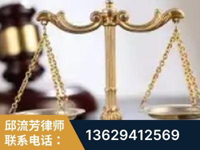 嵩明-委托诉讼代理人出庭